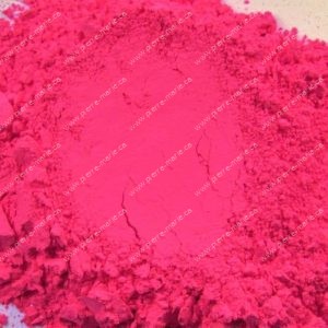 Fluorescent Néon Rose